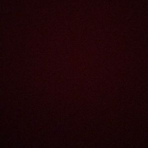 Meet your Posher, Demi